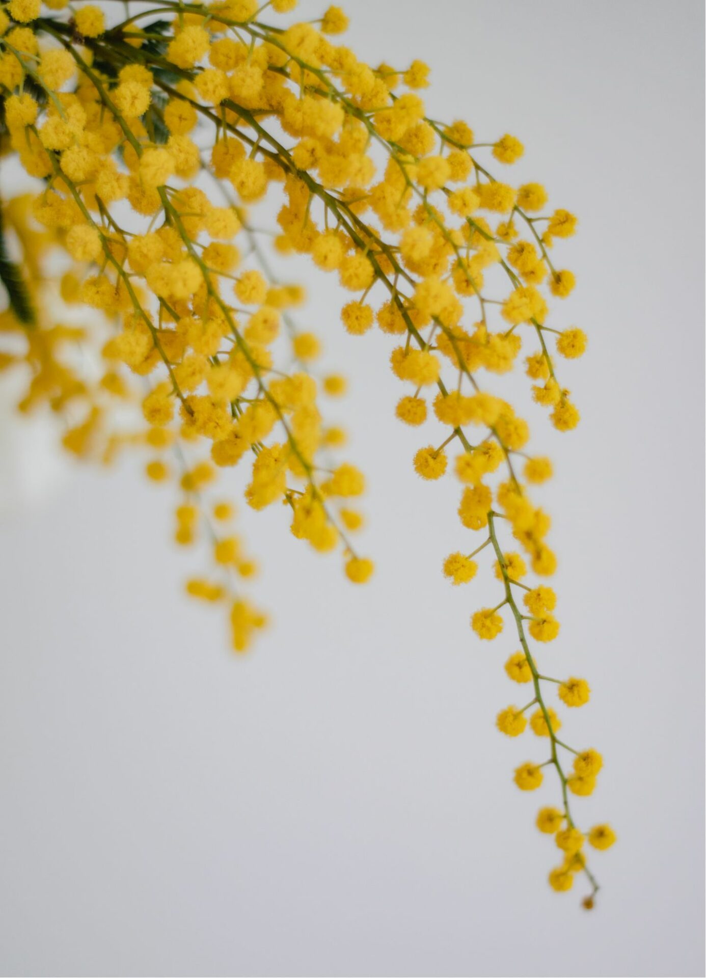 Magnétisme Naturopathie 77