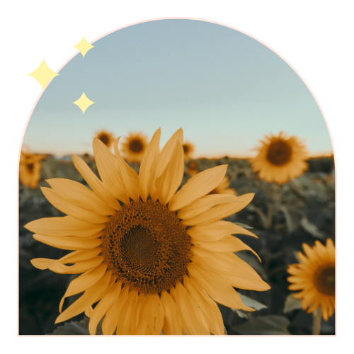 Naturopathie Magnétisme